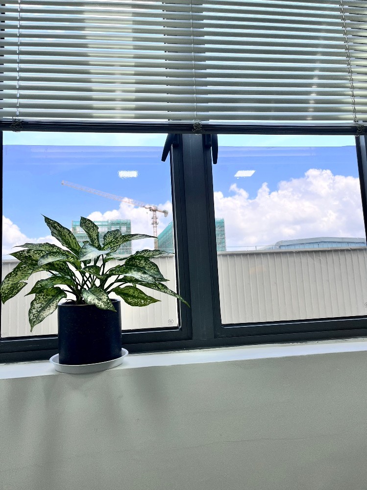 北京通州潞苑窗戶貼膜多少錢？老師傅揭秘避坑指南